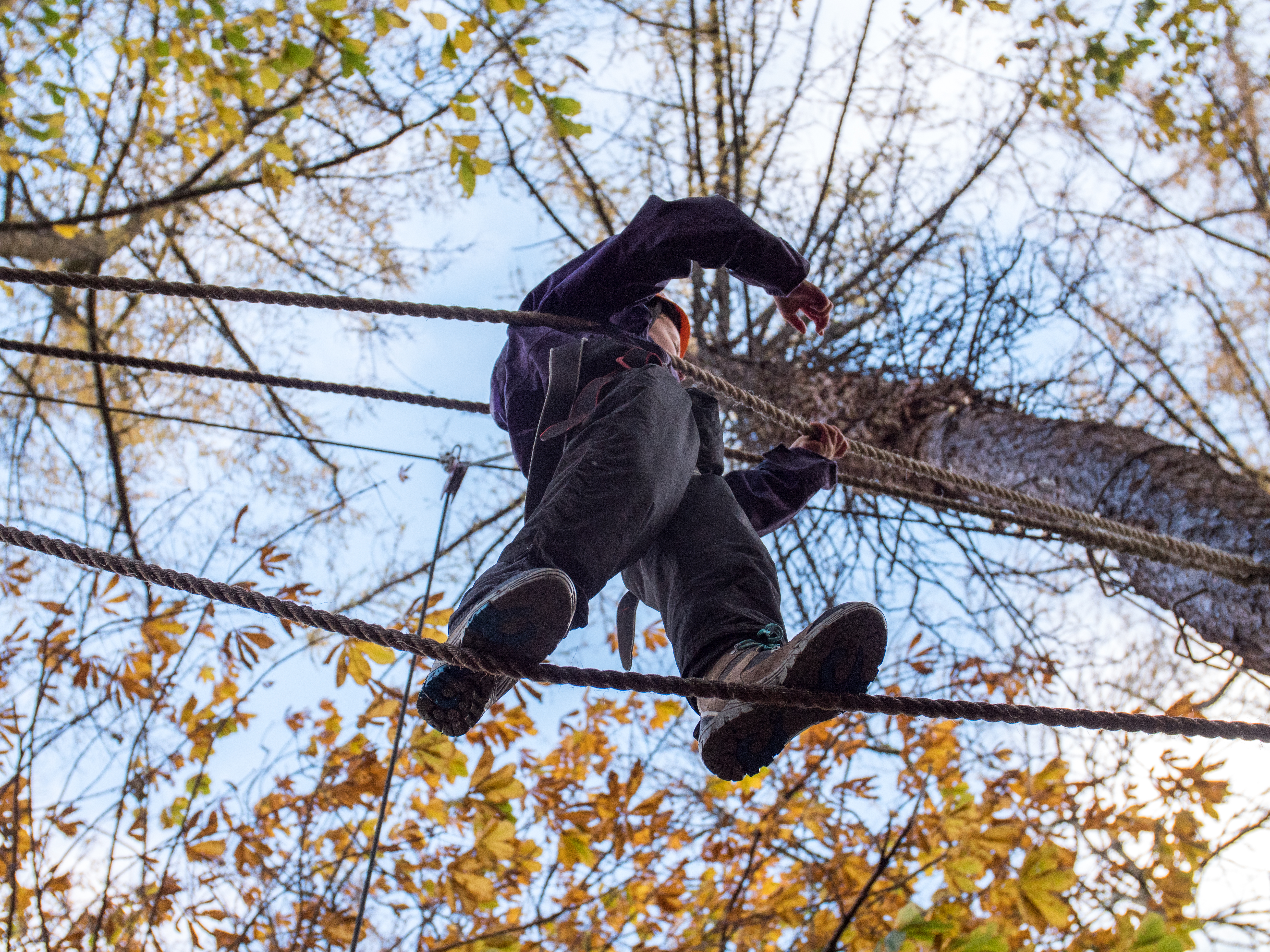 High Level Ropes.jpg